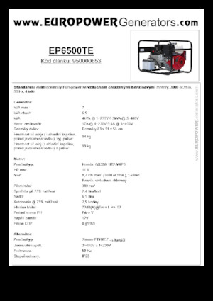 Grupos electrógenos, gasolina Europower EP6500TE (S)