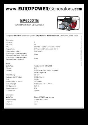 Grupos electrógenos, gasolina Europower EP6500TE (S)