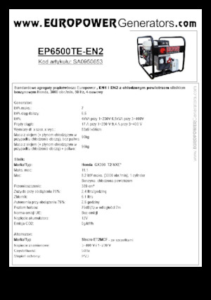Grupos electrógenos, gasolina Europower EP6500TE-EN2 (S)