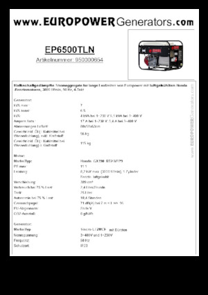 Grupos electrógenos, gasolina Europower EP6500TLN (S)