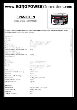 Grupos electrógenos, gasolina Europower EP6500TLN (S)