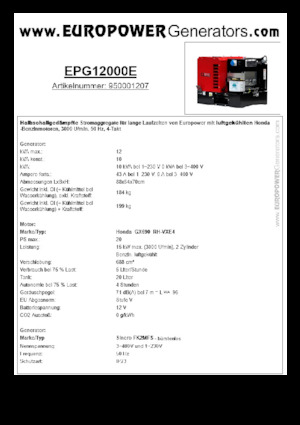 Grupos electrógenos, gasolina Europower EPG12000E (S)