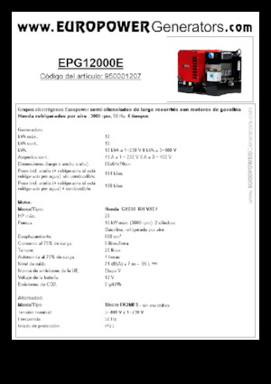 Grupos electrógenos, gasolina Europower EPG12000E (S)