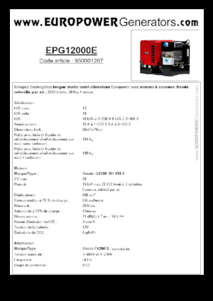 Grupos electrógenos, gasolina Europower EPG12000E (S)