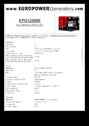 Grupos electrógenos, gasolina Europower EPG12000E (S)
