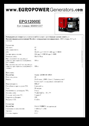 Grupos electrógenos, gasolina Europower EPG12000E (S)