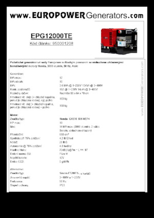 Grupos electrógenos, gasolina Europower EPG12000TE (S)