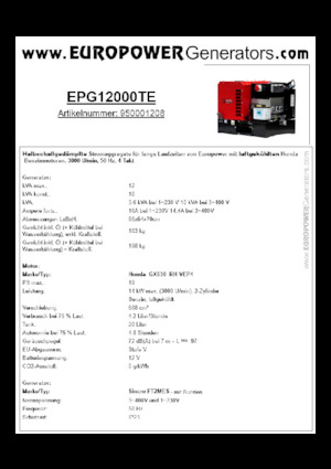 Grupos electrógenos, gasolina Europower EPG12000TE (S)