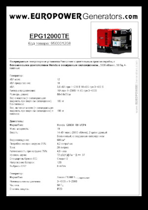 Grupos electrógenos, gasolina Europower EPG12000TE (S)