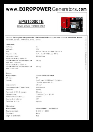 Grupos electrógenos, gasolina Europower EPG15000TE (S)