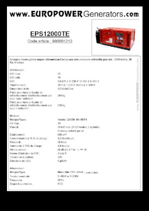 Grupos electrógenos, gasolina Europower EPS12000TE (MA)