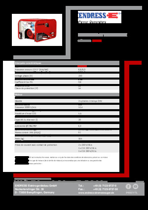 Grupos electrógenos, gasolina Endress ESE 1006 HG-GT ES ISO Duplex