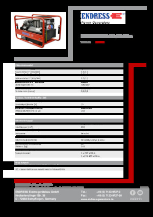Grupos electrógenos, gasolina Endress ESE 1006 SDHS-DC ES / 30-300 A