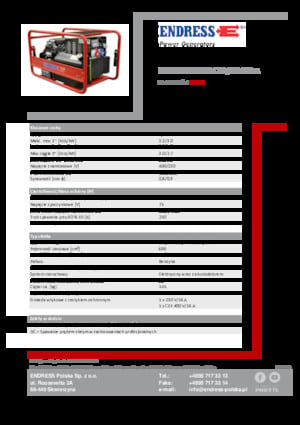 Grupos electrógenos, gasolina Endress ESE 1006 SDHS-DC ES / 30-300 A