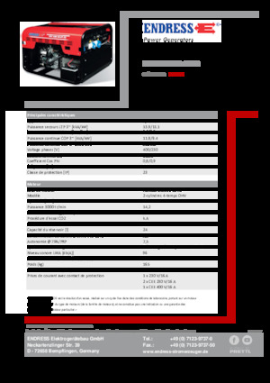 Grupos electrógenos, gasolina Endress ESE 1206 DHS-GT ES