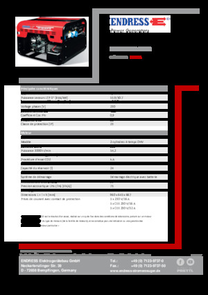 Grupos electrógenos, gasolina Endress ESE 1206 HS-GT ES
