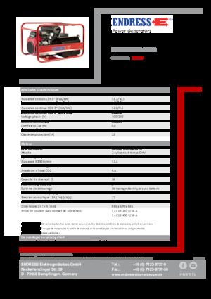 Grupos electrógenos, gasolina Endress ESE 1306 DHS-GT ES 