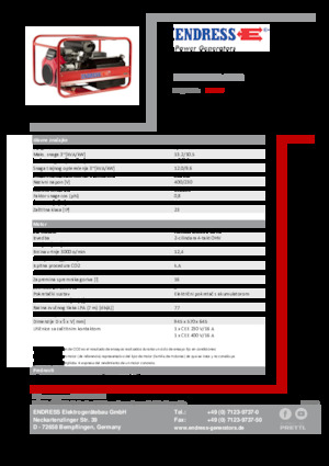 Grupos electrógenos, gasolina Endress ESE 1306 DHS-GT ES 