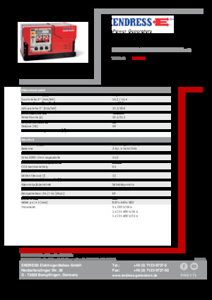 Grupos electrógenos, gasolina Endress ESE 1308 DBG ES ISO Duplex Silent