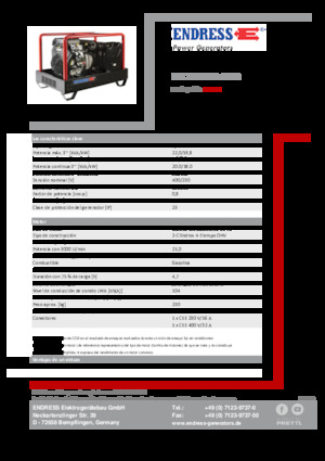 Grupos electrógenos, gasolina Endress ESE 2006 DBS-GT ES 