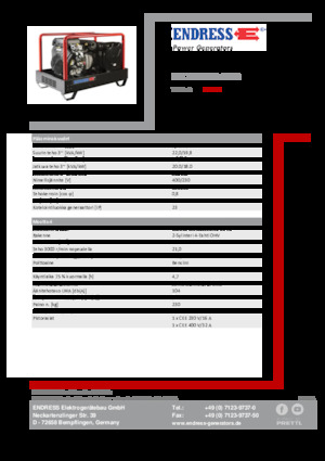 Grupos electrógenos, gasolina Endress ESE 2006 DBS-GT ES 