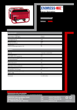 Grupos electrógenos, gasolina Endress ESE 306 HS-GT