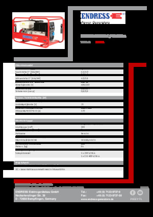 Grupos electrógenos, gasolina Endress ESE 804 SDHS-DC / 40-220 A