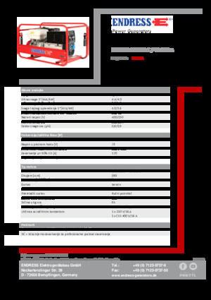 Grupos electrógenos, gasolina Endress ESE 804 SDHS-DC / 40-220 A