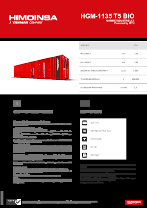Grupos electrógenos, gasolina HIMOINSA HGM-1135 T5 BIO