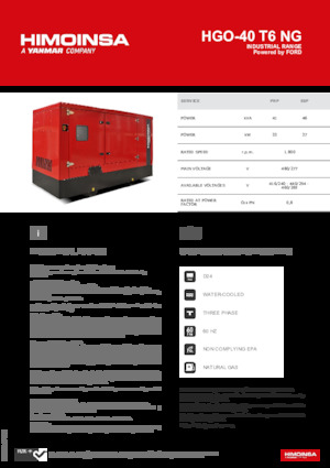 Grupos electrógenos, gasolina HIMOINSA HGO-40 T6 NG