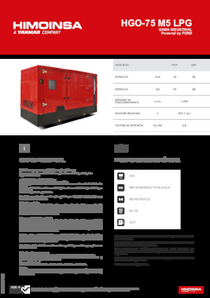Grupos electrógenos, gasolina HIMOINSA HGO-75 M5 LPG