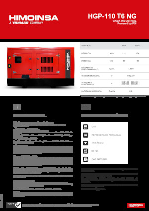 Grupos electrógenos, gasolina HIMOINSA HGP-110 T6 NG