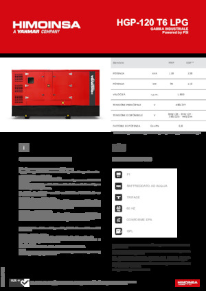 Grupos electrógenos, gasolina HIMOINSA HGP-120 T6 LPG