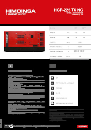 Grupos electrógenos, gasolina HIMOINSA HGP-225 T6 NG