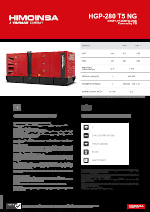 Grupos electrógenos, gasolina HIMOINSA HGP-280 T5 NG
