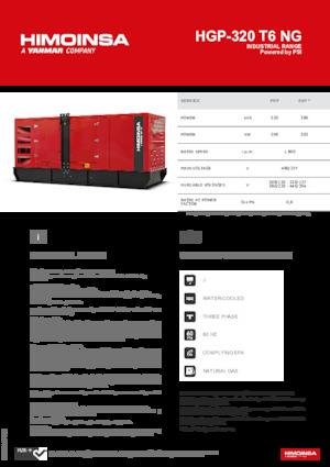 Grupos electrógenos, gasolina HIMOINSA HGP-320 T6 NG