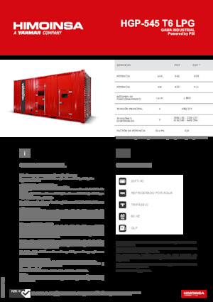 Grupos electrógenos, gasolina HIMOINSA HGP-545 T6 LPG