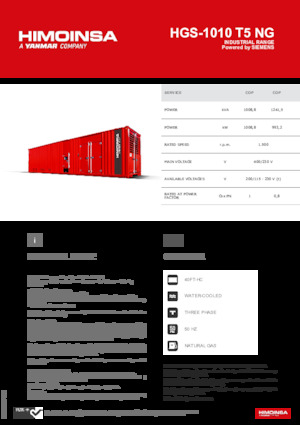 Grupos electrógenos, gasolina HIMOINSA HGS-1010 T5 NG