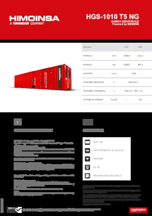 Grupos electrógenos, gasolina HIMOINSA HGS-1010 T5 NG