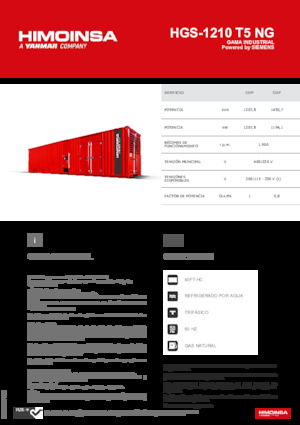Grupos electrógenos, gasolina HIMOINSA HGS-1210 T5 NG