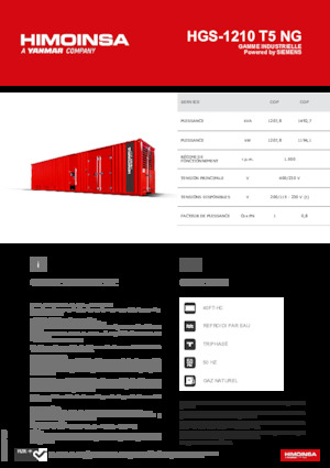 Grupos electrógenos, gasolina HIMOINSA HGS-1210 T5 NG