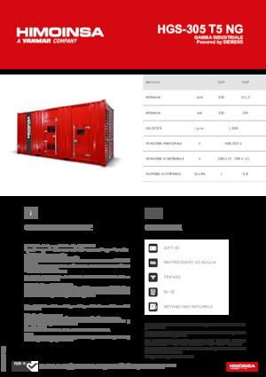 Grupos electrógenos, gasolina HIMOINSA HGS-305 T5 NG