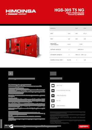Grupos electrógenos, gasolina HIMOINSA HGS-305 T5 NG