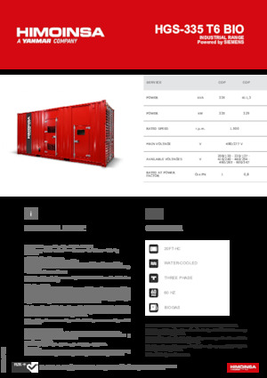Grupos electrógenos, gasolina HIMOINSA HGS-335 T6 BIO