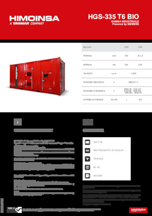 Grupos electrógenos, gasolina HIMOINSA HGS-335 T6 BIO