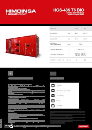Grupos electrógenos, gasolina HIMOINSA HGS-435 T6 BIO