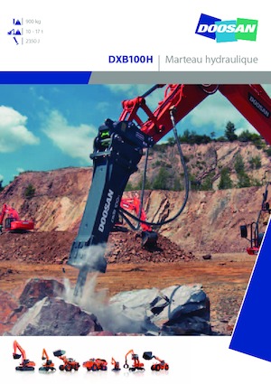 Martillos hidráulicos Doosan DXB100H