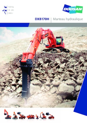 Martillos hidráulicos Doosan DXB170H