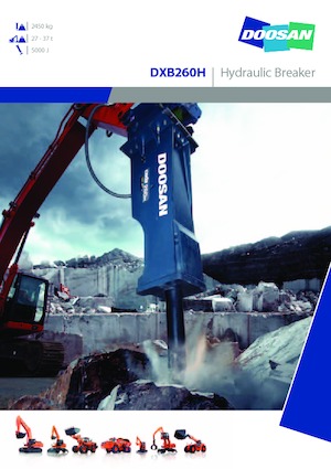 Martillos hidráulicos Doosan DXB260H