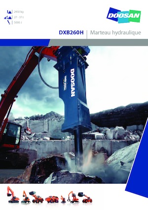 Martillos hidráulicos Doosan DXB260H